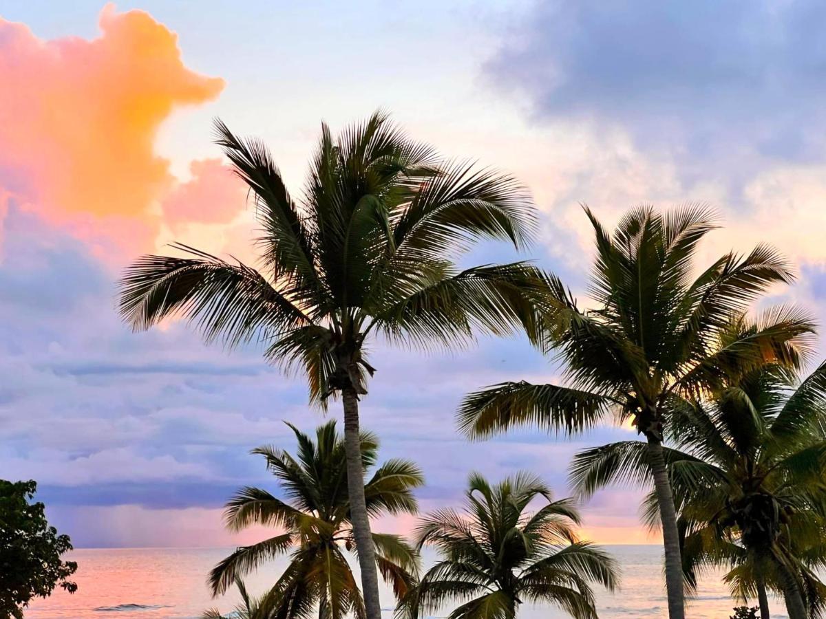 La Perle Des Caraibes Sainte-Anne (Grande-Terre) Exterior foto
